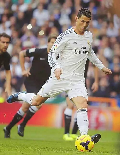 女子篮球联盟MVP候选人公布